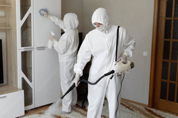 Best Local Mold Removal Service  in Bellefontaine, OH